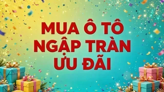 Địa điểm hỗ trợ xem xe tại Trà Vinh
